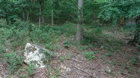 14161 Low Gap Rd, West Fork, AR 72774 photo 37