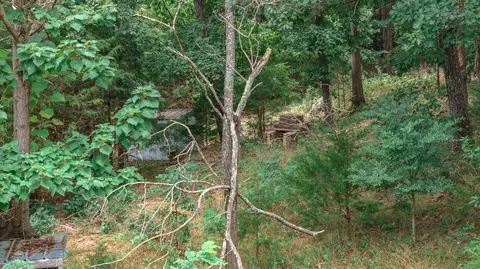 14161 Low Gap Rd, West Fork, AR 72774 photo 35