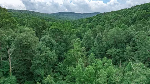 14161 Low Gap Rd, West Fork, AR 72774 photo 17