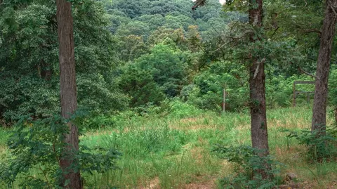 14161 Low Gap Rd, West Fork, AR 72774 photo 24