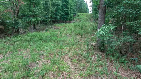 14161 Low Gap Rd, West Fork, AR 72774 photo 43