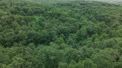 14161 Low Gap Rd, West Fork, AR 72774 photo 19