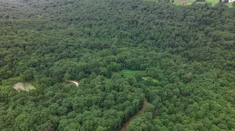 14161 Low Gap Rd, West Fork, AR 72774 photo 47