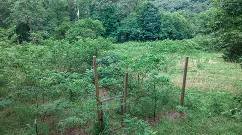 14161 Low Gap Rd, West Fork, AR 72774 photo 13