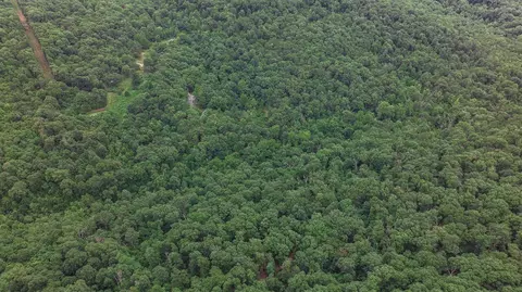 14161 Low Gap Rd, West Fork, AR 72774 photo 46