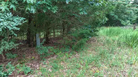 14161 Low Gap Rd, West Fork, AR 72774 photo 31