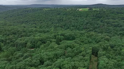 14161 Low Gap Rd, West Fork, AR 72774 photo 44