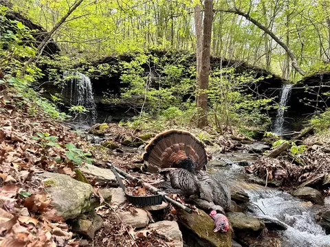 000 Madison 5390, Huntsville, AR 72740