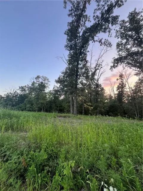 Coopers Road, Pineville, MO 64856