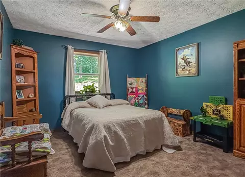 311 Cedar Ln, Jasper, AR 72641 photo 34