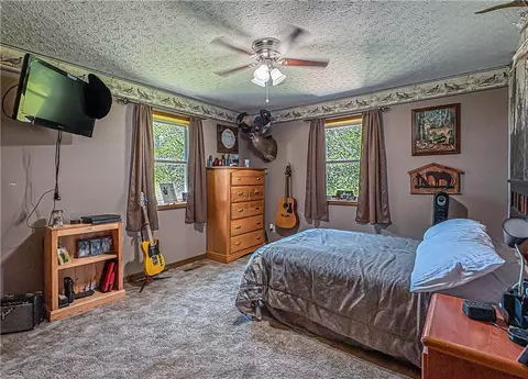 311 Cedar Ln, Jasper, AR 72641 photo 35