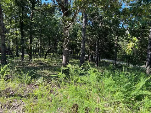 W Pine Street, Diamond City, AR 72644
