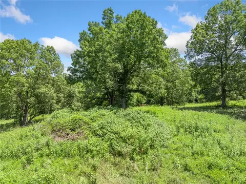 6025 Tye Rd, Harrison, AR 72601 photo 20