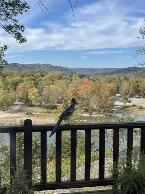 2308 Ar-187, Eureka Springs, AR 72631
