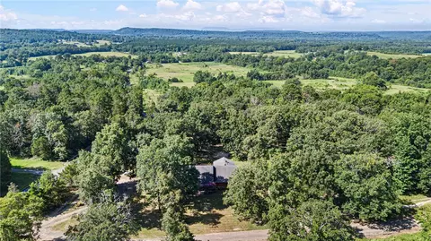 View/Area - 1375 Pine Hill Rd, Dover, AR 72837 photo 6 of 6