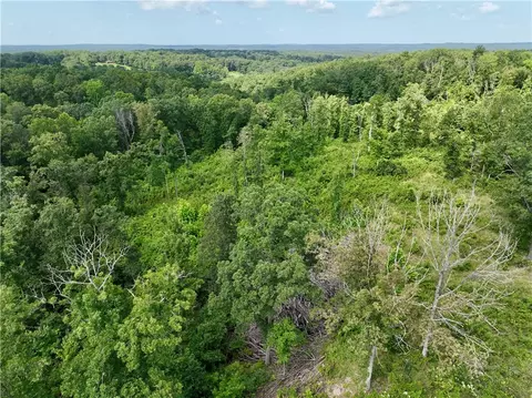 tbd Songbird Rd, Powell, MO 65730