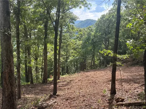 Nc 6850, Jasper, AR 72641 photo 2