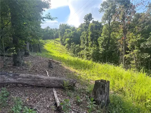 Nc 6850, Jasper, AR 72641 photo 2