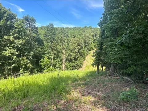 Nc 6850, Jasper, AR 72641 photo 3