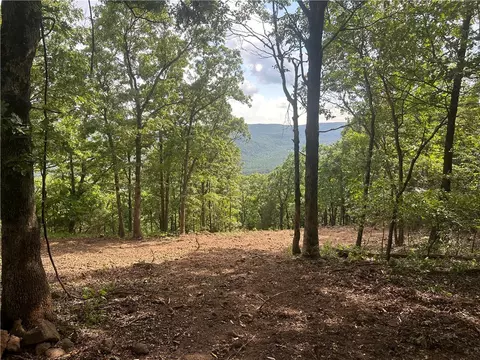 Nc 6850, Jasper, AR 72641 photo 4