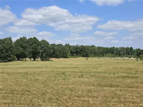 Copperhead Road, Viola, AR 72583 photo 20