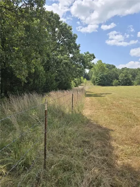 Copperhead Road, Viola, AR 72583 photo 30