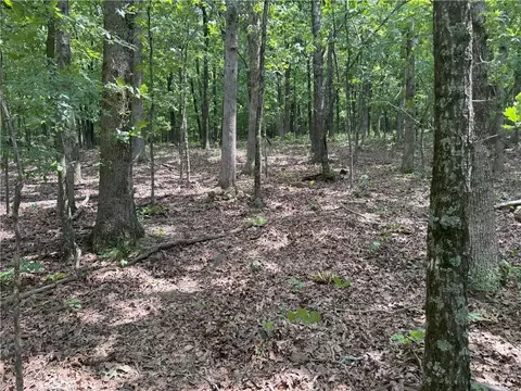 000 Cr 284 Four Cors, Canehill, AR 72717
