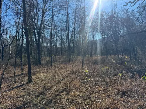 tbd Nc 8141, Jasper, AR 72641 photo 43
