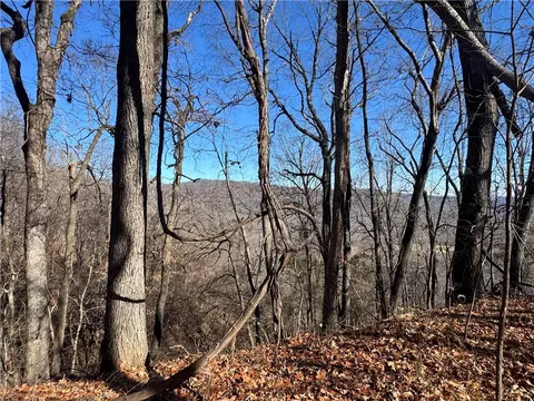 tbd Nc 8141, Jasper, AR 72641 photo 14