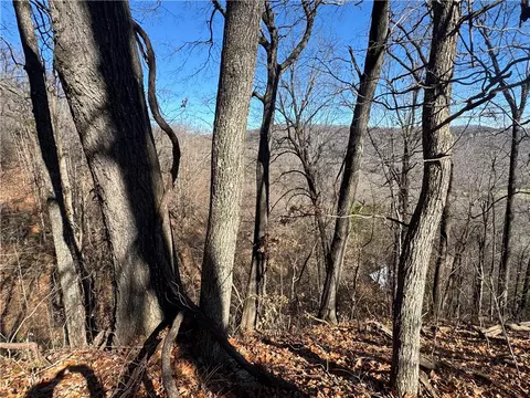 tbd Nc 8141, Jasper, AR 72641 photo 17