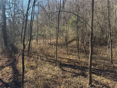 tbd Nc 8141, Jasper, AR 72641 photo 42
