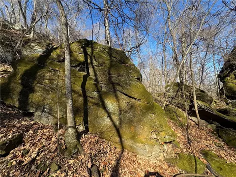 tbd Nc 8141, Jasper, AR 72641 photo 23
