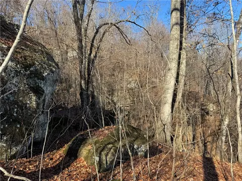 tbd Nc 8141, Jasper, AR 72641 photo 33