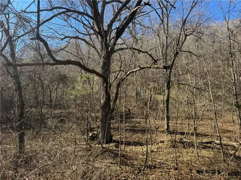 tbd Nc 8141, Jasper, AR 72641 photo 35