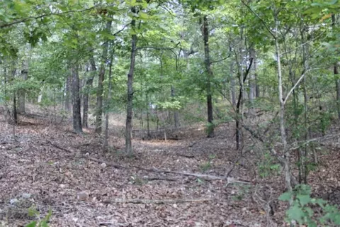018-00390 000 Abby Mine Pl, Harrison, AR 72601 photo 5