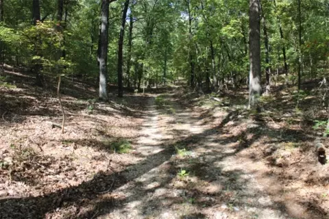 018-00390 000 Abby Mine Pl, Harrison, AR 72601 photo 2