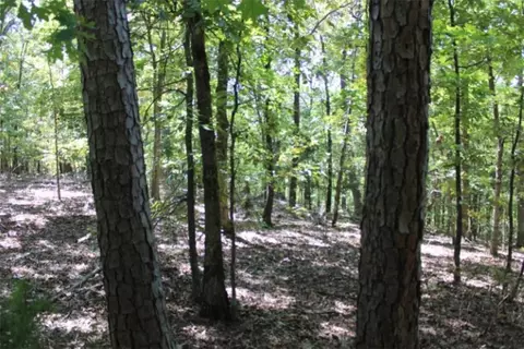 018-00390 000 Abby Mine Pl, Harrison, AR 72601 photo 4