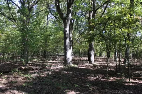 018-00390 000 Abby Mine Pl, Harrison, AR 72601