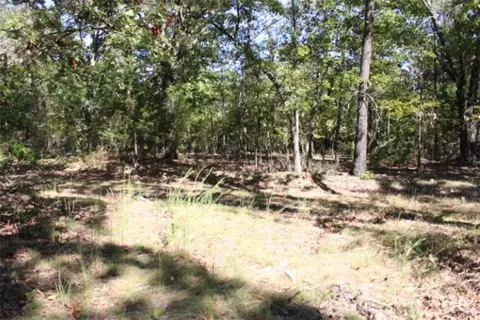 018-00390 000 Abby Mine Pl, Harrison, AR 72601 photo 6