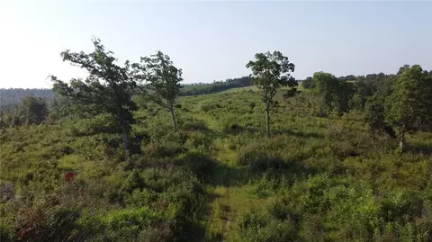 166 Acres Hwy 377, Marshall, AR 72650 photo 19