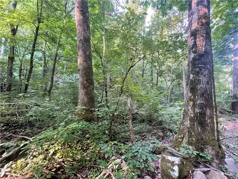 166 Acres Hwy 377, Marshall, AR 72650 photo 34