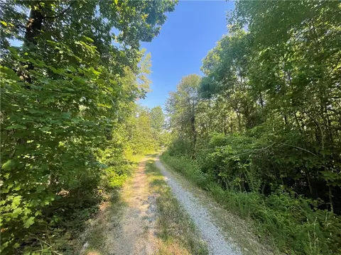 166 Acres Hwy 377, Marshall, AR 72650 photo 6