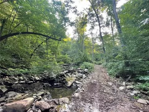 166 Acres Hwy 377, Marshall, AR 72650 photo 31