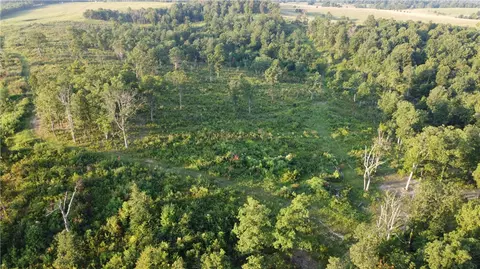 166 Acres Hwy 377, Marshall, AR 72650 photo 14