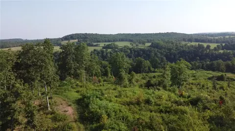 166 Acres Hwy 377, Marshall, AR 72650 photo 16