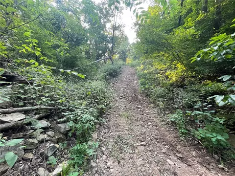 166 Acres Hwy 377, Marshall, AR 72650 photo 32