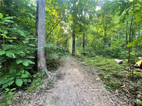 166 Acres Hwy 377, Marshall, AR 72650 photo 33
