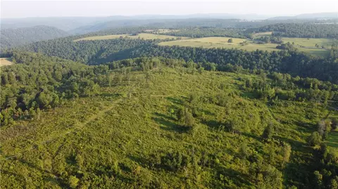 166 Acres Hwy 377, Marshall, AR 72650 photo 3