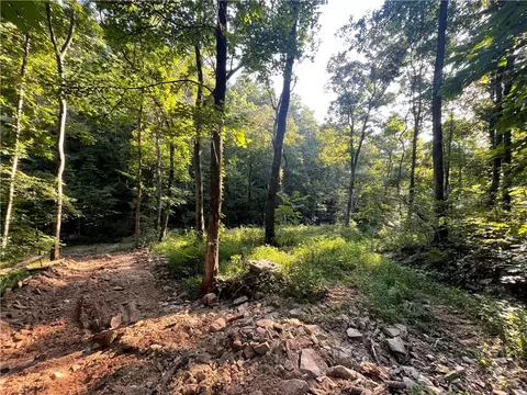 166 Acres Hwy 377, Marshall, AR 72650 photo 37