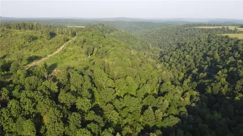 166 Acres Hwy 377, Marshall, AR 72650 photo 27